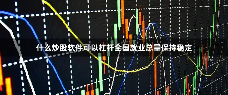 什么炒股软件可以杠杆全国就业总量保持稳定