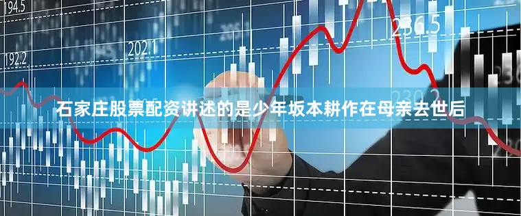 石家庄股票配资讲述的是少年坂本耕作在母亲去世后