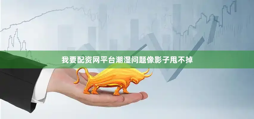 我要配资网平台潮湿问题像影子甩不掉