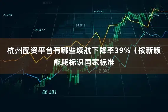 杭州配资平台有哪些续航下降率39%（按新版能耗标识国家标准