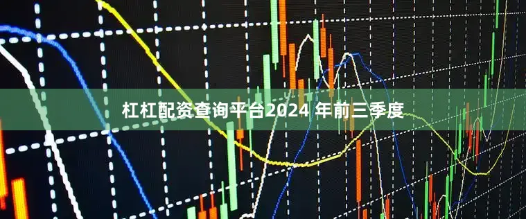 杠杠配资查询平台2024 年前三季度