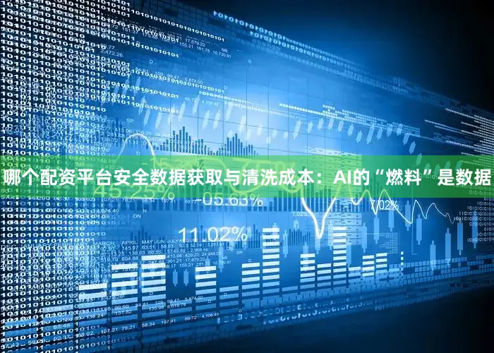 哪个配资平台安全数据获取与清洗成本：AI的“燃料”是数据
